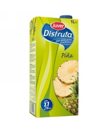 NECTAR BRIK PIÑA 1L (12)...